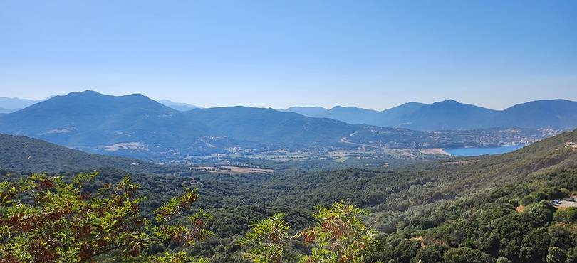 Le Restaurant - Le Santa Maria - Chez Mimi - Olmeto - bien manger OLMETO